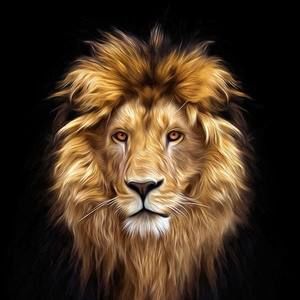 Meet your Posher, Hamid